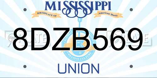 8DZB569 Mississippi License Plate