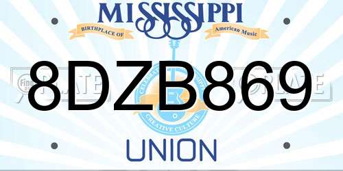 8DZB869 Mississippi License Plate