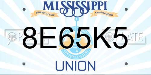 8E65K5 Mississippi License Plate