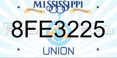 8FE3225 Mississippi License Plate