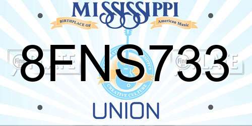 8FNS733 Mississippi License Plate