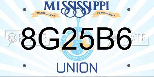 8G25B6 Mississippi License Plate