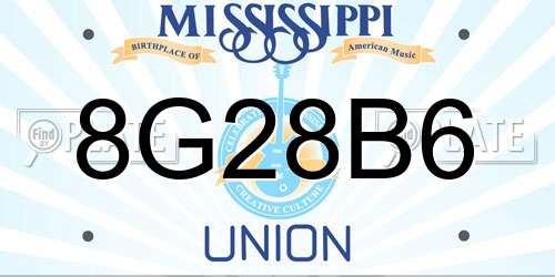 8G28B6 Mississippi License Plate