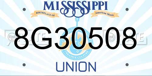 8G30508 Mississippi License Plate