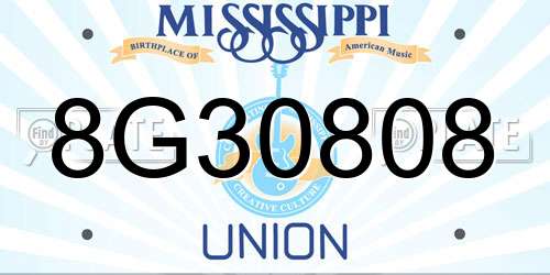 8G30808 Mississippi License Plate