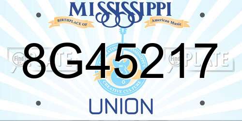 8G45217 Mississippi License Plate