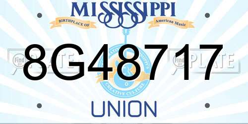 8G48717 Mississippi License Plate