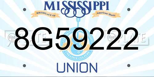 8G59222 Mississippi License Plate