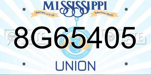 8G65405 Mississippi License Plate