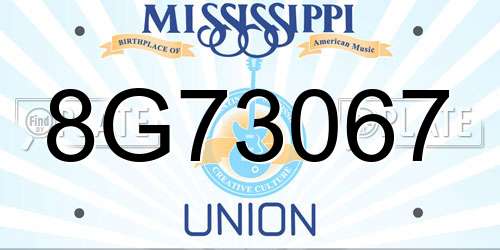 8G73067 Mississippi License Plate