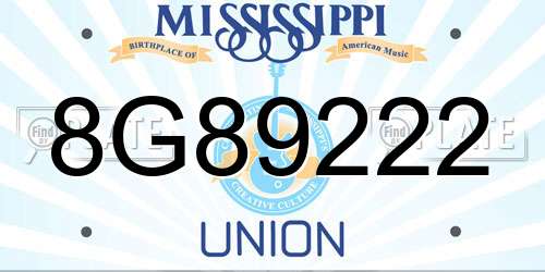 8G89222 Mississippi License Plate