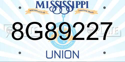 8G89227 Mississippi License Plate