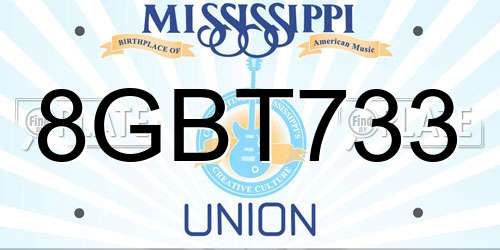 8GBT733 Mississippi License Plate