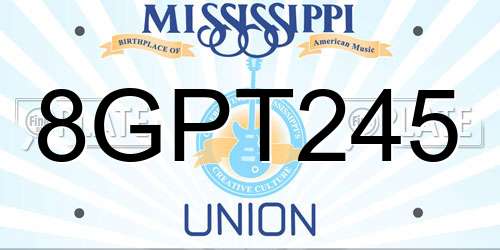 8GPT245 Mississippi License Plate