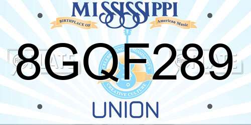 8GQF289 Mississippi License Plate