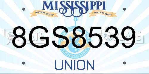 8GS8539 Mississippi License Plate