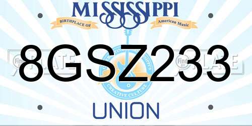 8GSZ233 Mississippi License Plate