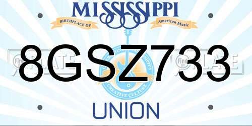 8GSZ733 Mississippi License Plate