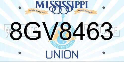 8GV8463 Mississippi License Plate
