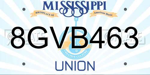 8GVB463 Mississippi License Plate