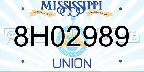 8H02989 Mississippi License Plate