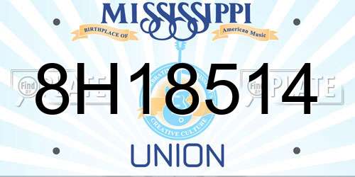 8H18514 Mississippi License Plate