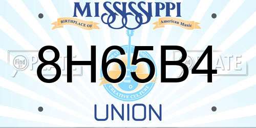 8H65B4 Mississippi License Plate
