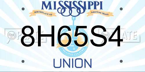 8H65S4 Mississippi License Plate