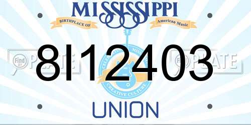 8I12403 Mississippi License Plate