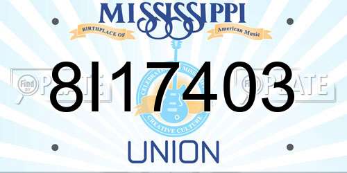 8I17403 Mississippi License Plate
