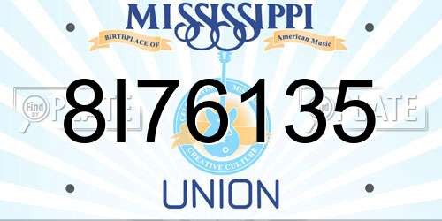 8I76135 Mississippi License Plate