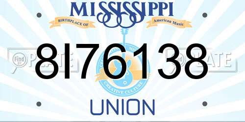 8I76138 Mississippi License Plate