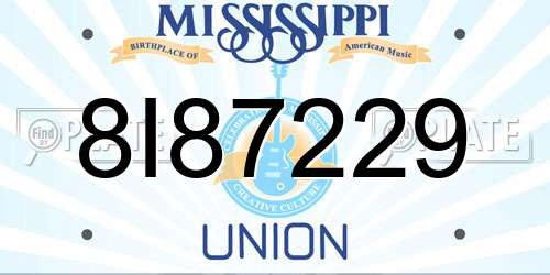 8I87229 Mississippi License Plate