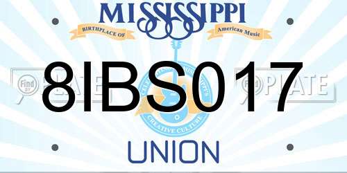 8IBS017 Mississippi License Plate