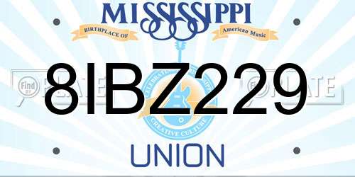 8IBZ229 Mississippi License Plate