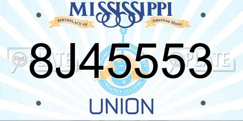 8J45553 Mississippi License Plate