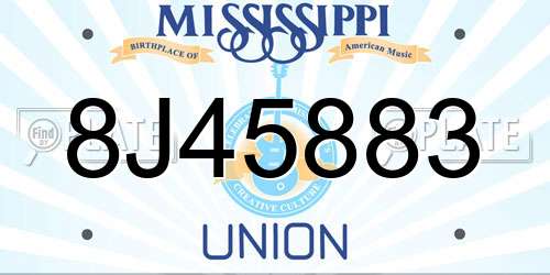 8J45883 Mississippi License Plate