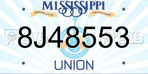 8J48553 Mississippi License Plate
