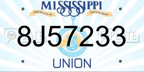 8J57233 Mississippi License Plate