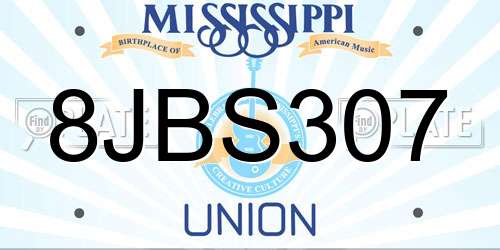 8JBS307 Mississippi License Plate