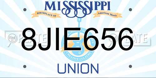 8JIE656 Mississippi License Plate
