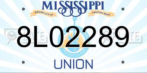 8L02289 Mississippi License Plate