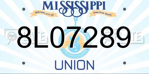 8L07289 Mississippi License Plate