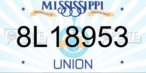 8L18953 Mississippi License Plate