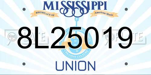 8L25019 Mississippi License Plate