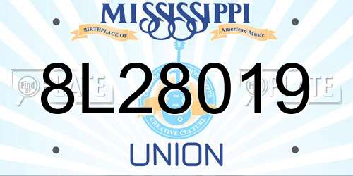 8L28019 Mississippi License Plate