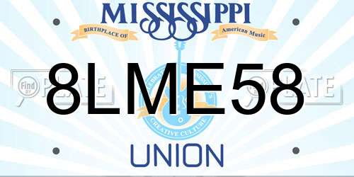 8LME58 Mississippi License Plate