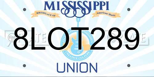 8LOT289 Mississippi License Plate