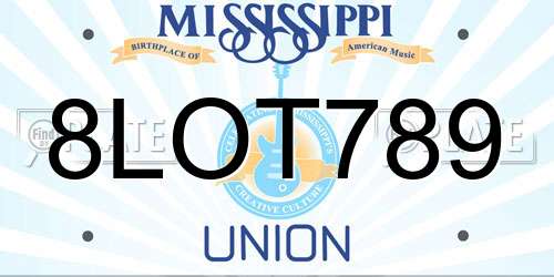 8LOT789 Mississippi License Plate