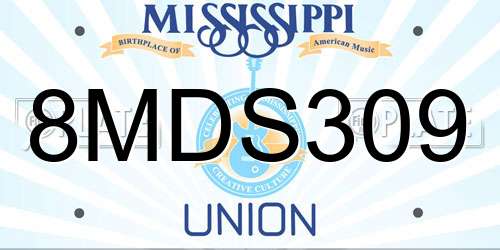 8MDS309 Mississippi License Plate